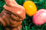 Chocolate bunny with easter eggs