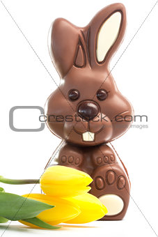 Yellow tulips with cute chocolate bunny