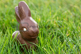 Chocolate bunny in the grass
