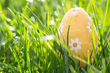 Easter egg nestled in the grass