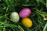 Small easter eggs nestled in the grass