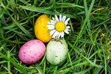 Small easter eggs nestled in the grass with a daisy