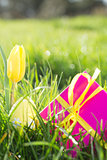 Pink gift box with yellow easter egg and tulip