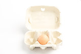 Carton with one egg
