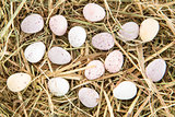 Little candy easter eggs on straw