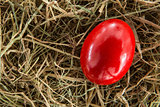 Red egg on straw