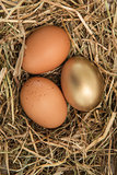 Gold egg in the straw with others