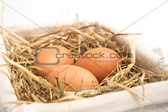 Three eggs in basket