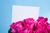 Bouquet of pink roses with blank card