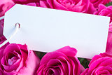 Bouquet of pink roses with an empty card