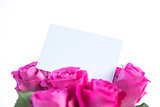 Beautiful bouquet of roses with an empty card