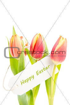 Three tulips with a happy easter card