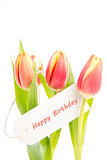 Three tulips with a happy birthday card