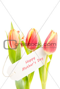 Three tulips with a happy mothers day card