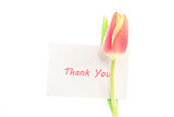 A tulip with a thank you card