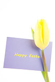 Yellow tulip with a mauve happy Easter card on a white background