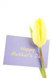 Yellow tulip with a mauve happy mothers day card on a white background