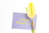 Beautiful yellow tulip with a mauve happy mothers day card on a white background
