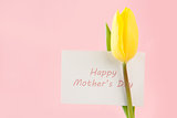 Beautiful yellow tulip with a Happy mothers day card