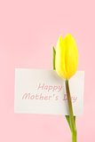 Yellow tulip with a white happy mothers day card written in pink on a pink background