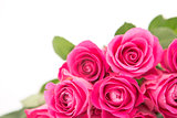 Close up of a beautiful bouquet of pink roses on a white background