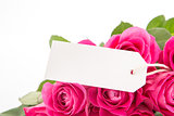 Close up of a beautiful bouquet of pink roses with a blank day card on a white background