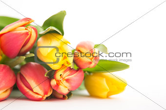 Close up of a beautiful bouquet of tulips on a white background