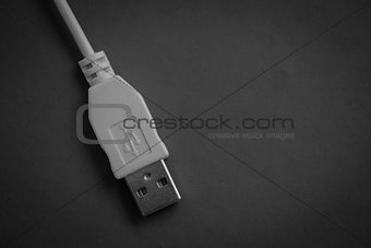 USB cable in black and white