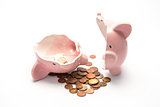 Piggy bank broken with money