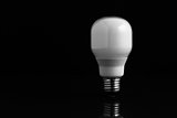 Energy saving bulb standing on black background