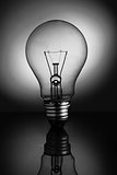Big clear light bulb standing in black and white