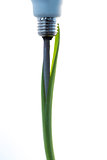 Economic light bulb growing out of a green plant