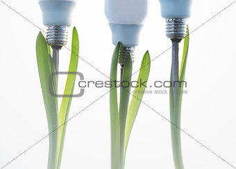 Economic light bulbs growing out of three green plants