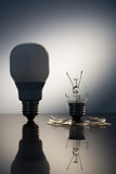 One economic bulb standing next to a broken clear light bulb