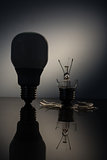 Economic bulb silhouette standing next to a broken clear light bulb