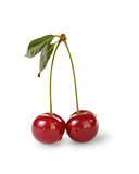 ripe cherries with stem and leaves