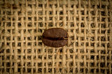 Single coffee bean close up