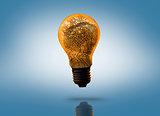Orange circuit board light bulb