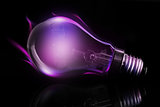 Purple light bulb