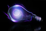Purple light bulb with filament