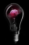 Pink brain inside light bulb
