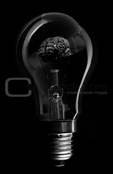 Black brain inside light bulb