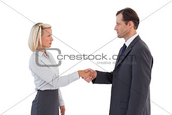 Serious business people shaking hands