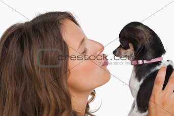 Pretty woman looking at her chihuahua