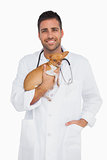 Smiling vet holding chihuahua
