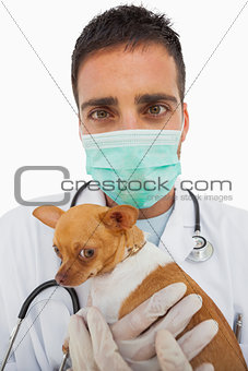 Vet holding chihuahua and wearing green protective mask
