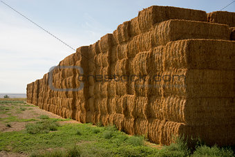 Hay Bales in Huge Stack on Corner of Farmers Field Farm Staple