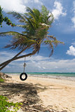 Tropical beach tire swing