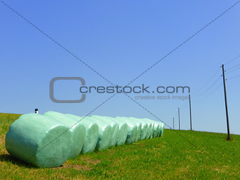 Landscape with hay bales and a power line