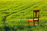 Abandoned chair on the field